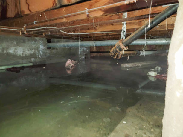 Best Sewage cleanup and water damage restoration  in Palm City, FL