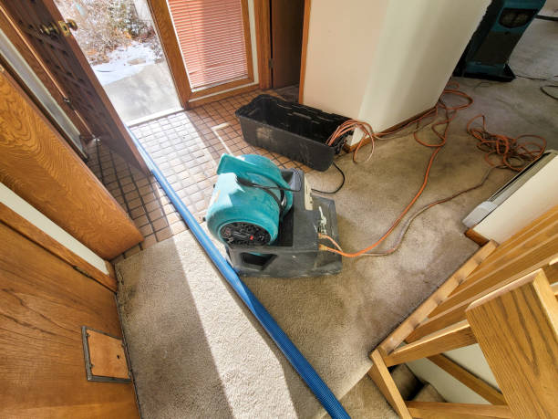 Best Emergency water damage restoration  in Palm City, FL