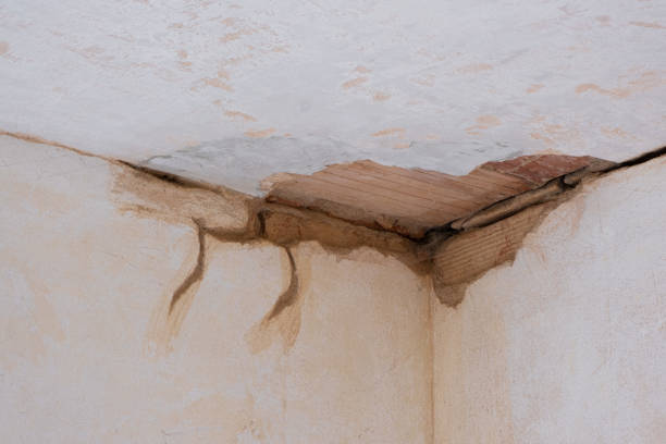 Best Water damage contractors near me  in Palm City, FL
