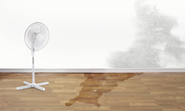 24/7 water damage repair in Palm City, FL