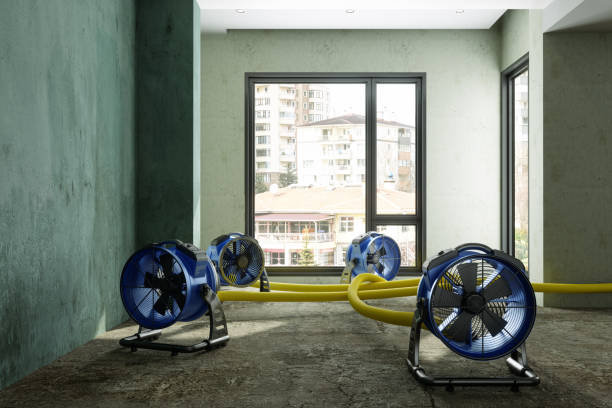 Best Water damage restoration near me  in Palm City, FL