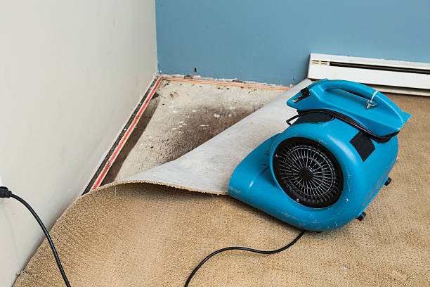Best 24/7 water damage repair  in Palm City, FL